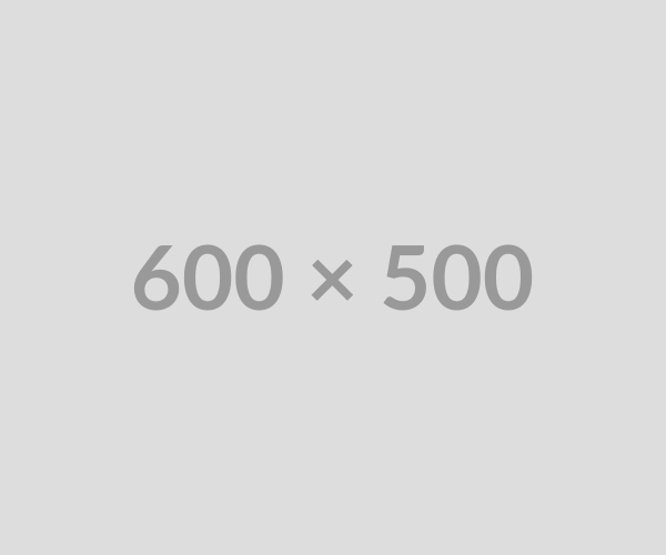 Project Name